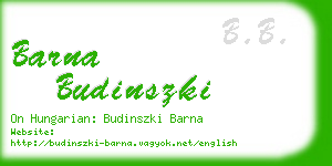 barna budinszki business card